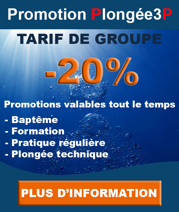 Promotions plongée3p